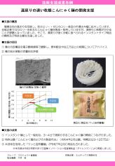 湯戻りの速い乾燥こんにゃく麺の開発支援