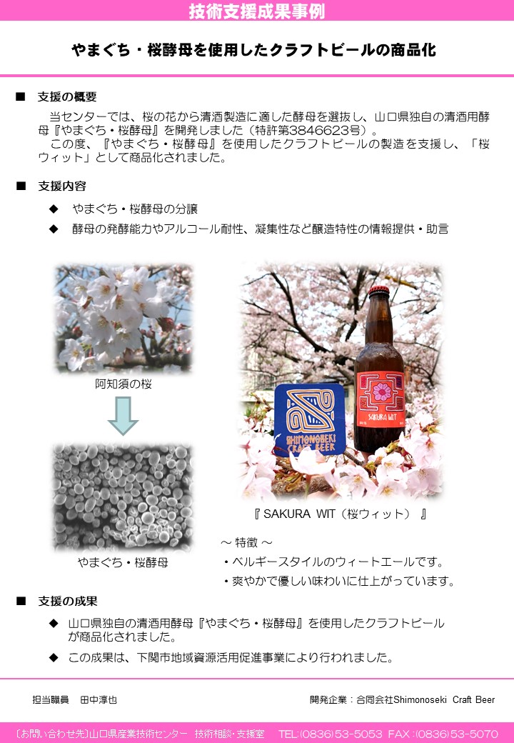 やまぐち・桜酵母を使用したクラフトビールの商品化