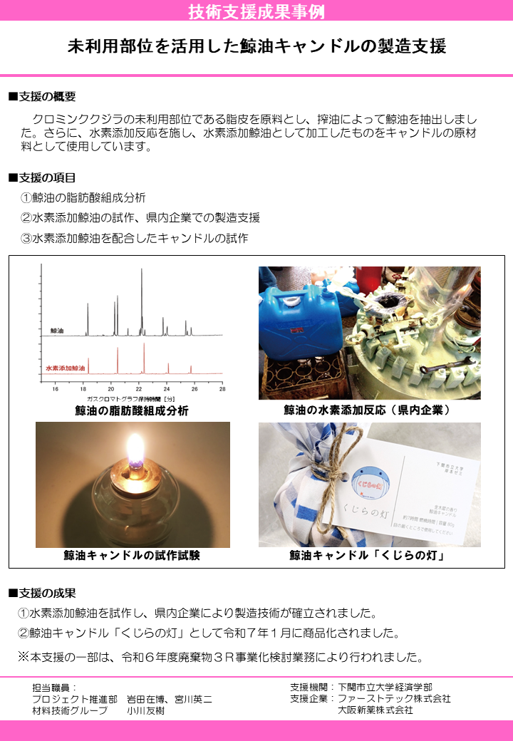未利用部位を活用した鯨油キャンドルの製造支援
